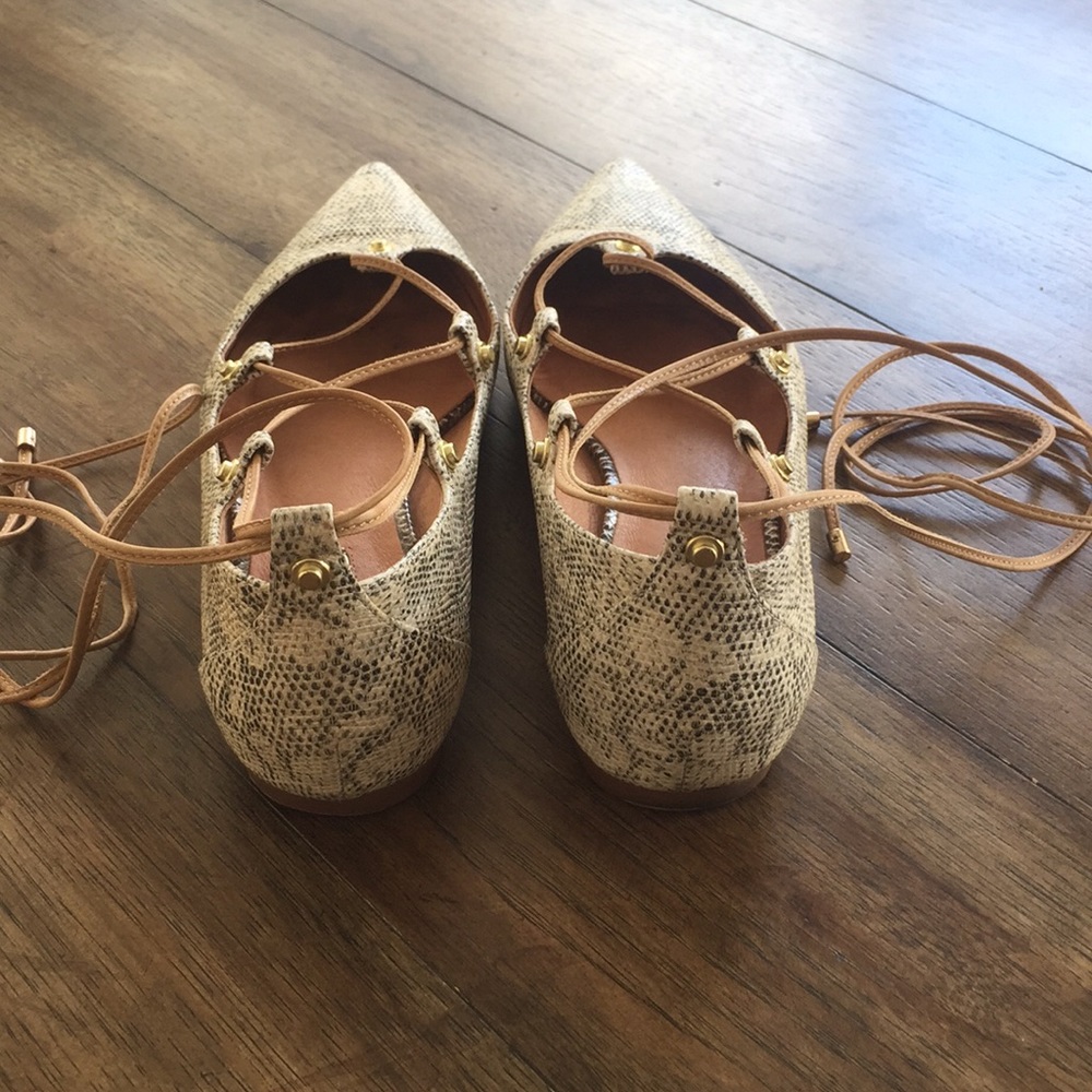 Halogen Flats - Picture 3 of 10